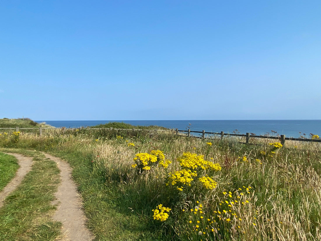 Our essential packing guide for the perfect Norfolk holiday
