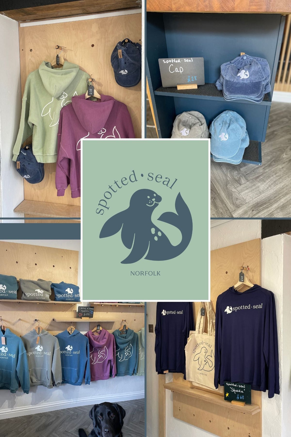 spotted-seal shop